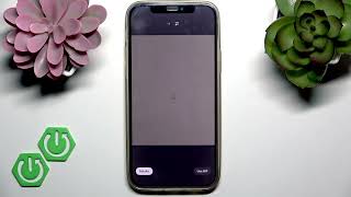 How to Create A Gif On X
