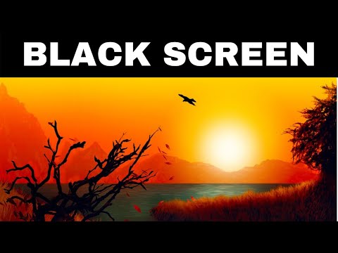 Relaxing Music for Sleeping BLACK SCREEN | FLUTE DREAMS | Calming Sleep Music