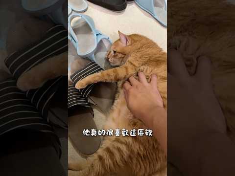 迷戀腳臭味的嚕嚕