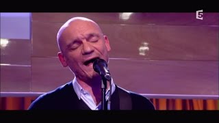 Avec le temps - Louise Attaque en live C à Vous