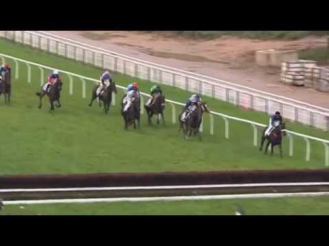 Sadler'sflaure race "Prix Heros XII" - Auteuil - 14/10/2012
