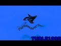 Preview 2 Paramount Logo Extended Effects Preview 2 Duck V5 Effects