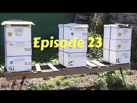 Episode 23.  TEK's Bee Hive Parts - #SeriousHobbyistBeek