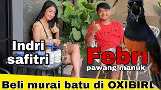 Download lagu Indri safitri dan Mas febri mampir beli murai batu kesini mp3