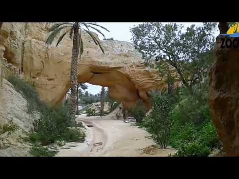 Ras el Oued Chenini Gabès |   راس الـــواد شننـــي قــــابس