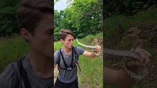 Download lagu That was close! mp3