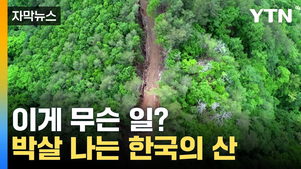 [자막뉴스] 환경 보호하려고 환경 파괴? 반년이 지나 다시 가봤습니다 / YTN