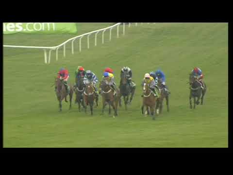 2011 Stan James Champion Hurdle - Cheltenham Festival