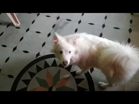 playing time 👆😀😀