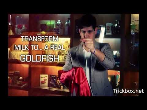 Milk To by Bazar de Magia