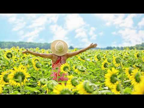 Pacha Man - Floare rara (prod. by Style da Kid)