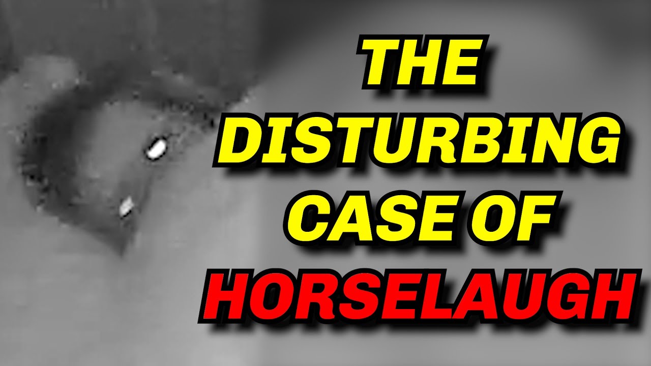 Do Not Go To Horselaugh.com