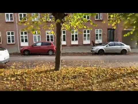 stikkeren elif jannik camille belmin gruppe 4