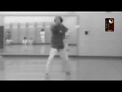 Gankaku Dai – Shihan Robert Cusumano (full speed)