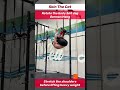Skin-the-cat | Shoulders Mobility #AskKenneth