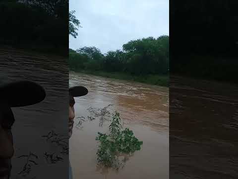 a cheia do rio do gavião fazenda amargoso Bahia