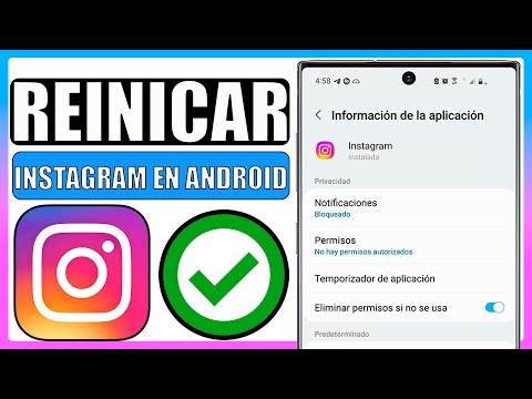 Reinicia la aplicación