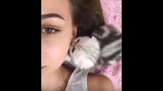 【笑うな集】菜食主義犬・積み木崩し猫・神技ならぬ猫技がヤバいんです