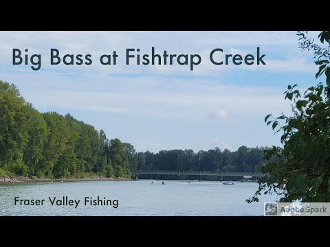 Big Bass at Fishtrap Creek