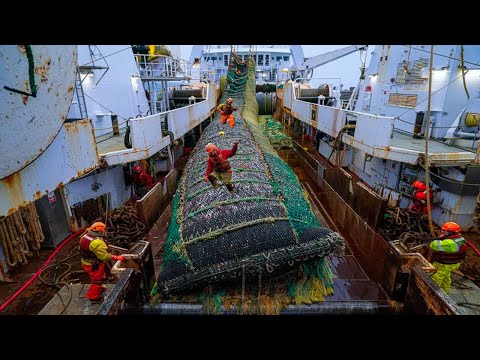 Life on the Most Advanced Deep Sea Fishing Vessel - Unbelievable Hundreds of tons of fish caught #02