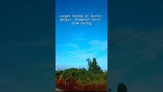 Download lagu Story wa || bahasa banjar mp3