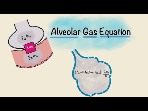 Alveolar Gas Equation | Alveolar-arterial (A-a) gradient | Respiratory Physiology