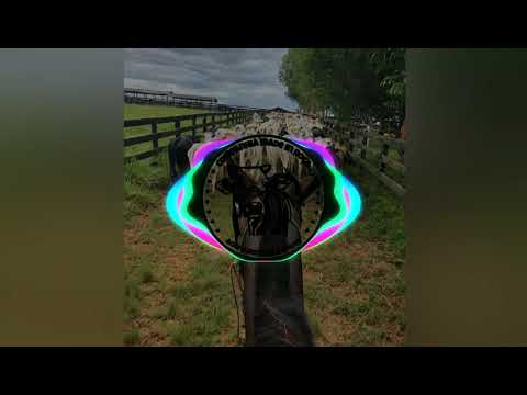 Perfume do Paieiro - Diego Fantini e Marquinhos