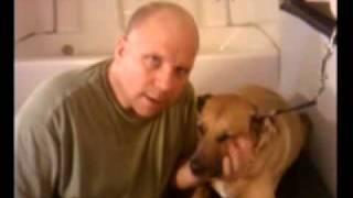 How to really trim a dog's nails using a dremel