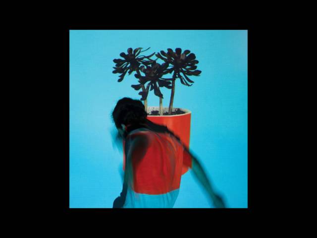 Local Natives – Ellie Alice (Remix Stems)