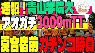 【速報】青山学院大「アオガチ」3000mTT結果まとめ！夏合宿前のガチンコ勝負！エース候補と新戦力の現在地【青山学院大】