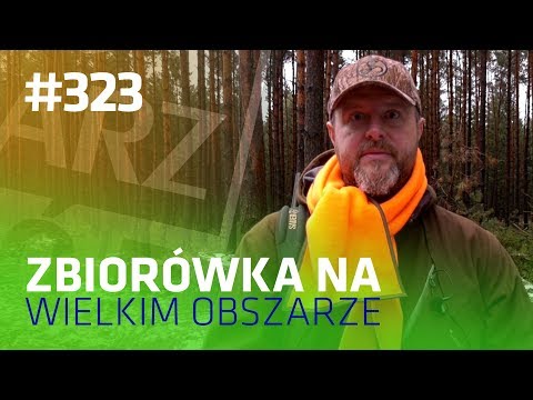 Darz Bór odc 323 - Zbiorówka na wielkim obszarze