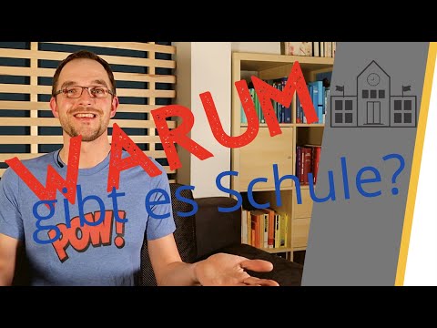 School functions according to Fend | Why do schools exist at all?