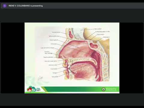 Screen Recording 2023 04 13 at 9 16 04 AM