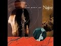 Can't Hide Love | NAJEE
