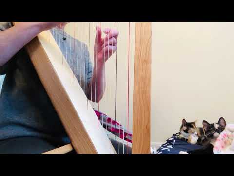 Harp Therapy for Blind Cat & her Guide Cat at Advocates 4 Animals