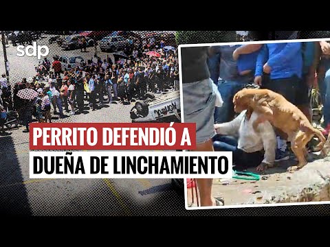 PERRITO🐶 resultó AFECTADO 😓por el LINCHAMIENTO de una MUJER en TAXCO, presunta FEMINICIDA de CAMILA😔