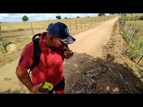 A região sul de Araçagi, PB, é muito seca.  Vem comigo neste passeio 