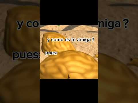 una pulga aventurera 🎶