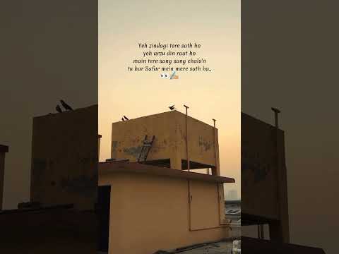 Agree🥺 #loveqoutes #quotes #loveisforever #lovequote #sayings #quoted #romancequotes #imissyouquotes