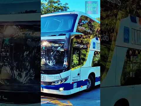 SÃO PAULO x PIUMHI  EXPRESSO UNIÃO RUMO A MINAS GERAIS! 🚍 #zeramalho #música #musica