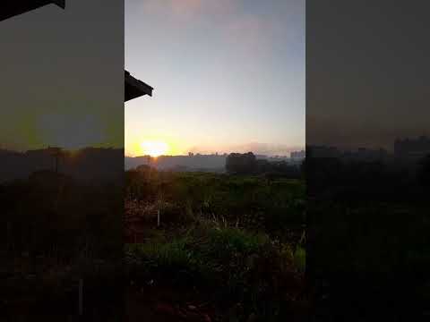 Amanhecer aqui no interior paulista #diaadia #agro #timburi
