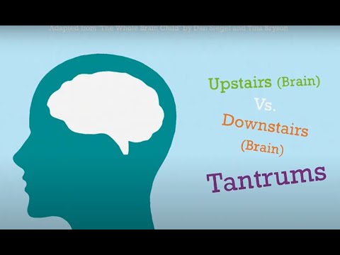 Understanding Children’s Behaviours – Tantrums vs. Meltdowns