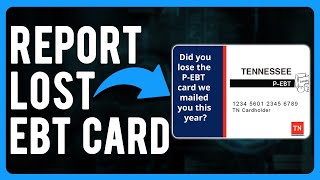 How to Report Lost EBT Card (Replace Lost or Stolen EBT Card)