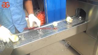 Automatic Onion Process Line|Onion Peeling Machine |Onion Root Cutting machine