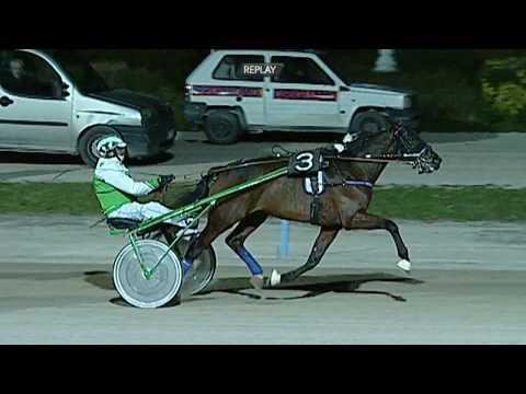 Aversa trotto 8 Gennaio 2020 - 6° Corsa