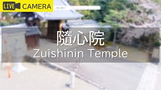 随心院