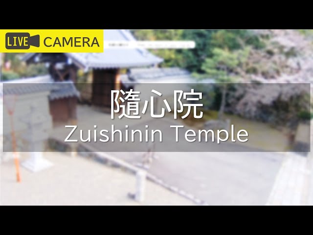 隨心院