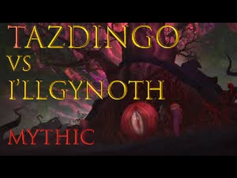 Tazdingo vs Illgynoth - Emerald Nightmare Mythic