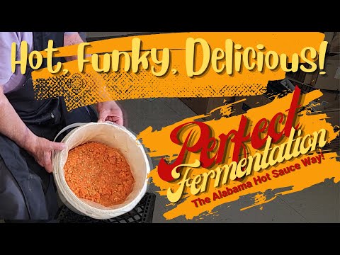 30 Day Ferment - Habanero Pepper Mash - Live Ferment Opening - #alabamahotsauce