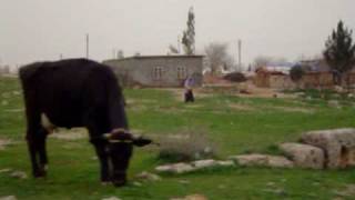 preview picture of video 'Harran, Turkey, home of Abraham'